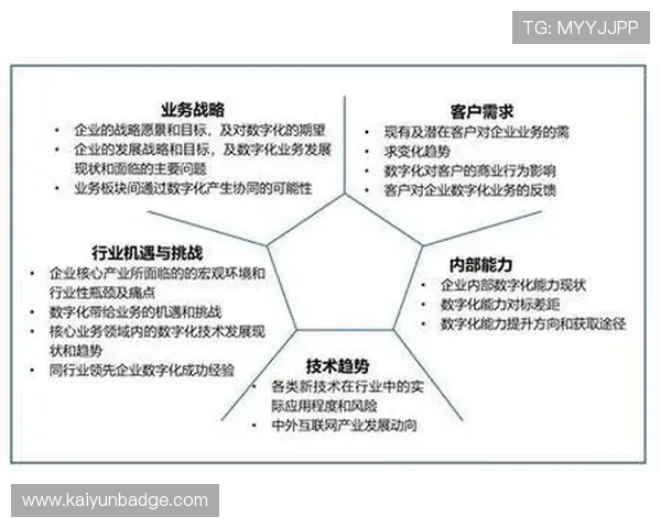 开云集团中国在数字化转型中的成功案例与经验分享