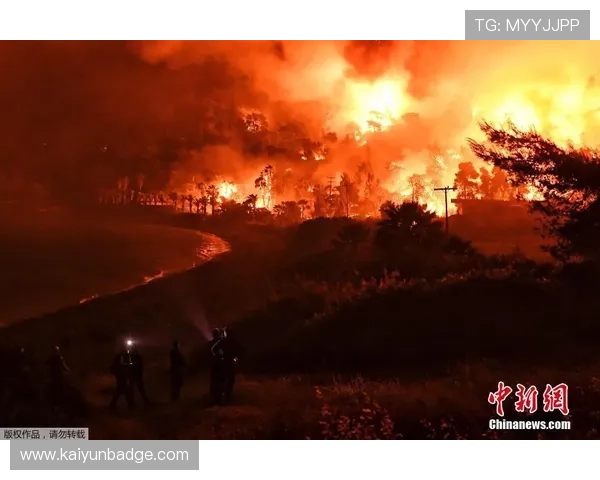 提升运动体验:开云体育会员的多重好处值得尝试 提升运动体验:开云体育会员的多重好处值得尝试