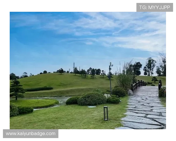 探索开云体育网页版的独特体验，带给你无与伦比的赛事观看感