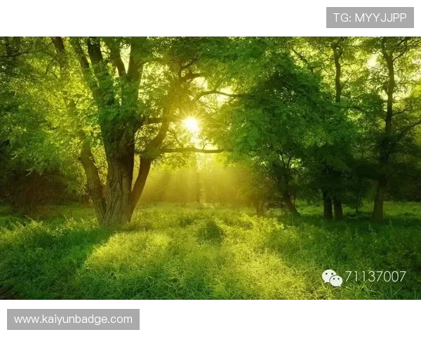 提升运势的开运网名设计指南，助你在游戏和社交中赢得更多好运气